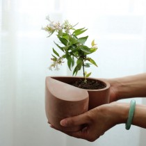 情侶款心形水泥花盆 (三色)