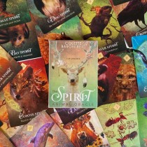 靈性動物 神諭卡 The Spirit Animal Oracle 68 cards