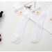 小雛菊船型玻璃絲襪 (多色)